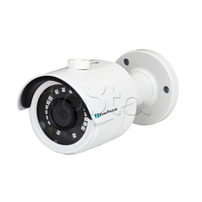 EverFocus EZN-1840-A15, IP-камера видеонаблюдения в стандартном исполнении EverFocus EZN-1840-A15