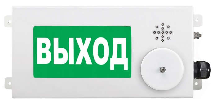 Спектрон ТСВ-Exm-М-Прометей-МИНИ 12-36В &quot;Выход&quot; З/Б, Взрывозащищенный пожарный оповещатель (световое табло) Спектрон ТСВ-Exm-М-Прометей-МИНИ 12-36В &quot;Выход&quot; З/Б
