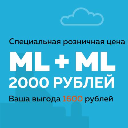 Лицензия Macroscop ML + ML
