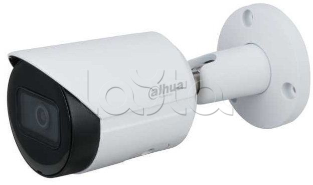 Dahua DH-IPC-HFW2431SP-S-0360B, IP-камера видеонаблюдения в стандартном исполнении Dahua DH-IPC-HFW2431SP-S-0360B