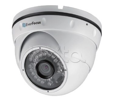 EverFocus EBN-268, IP-камера видеонаблюдения уличная купольная EverFocus EBN-268