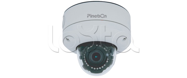 Pinetron PNC-IV2A(IR), IP-камера видеонаблюдения уличная купольная Pinetron PNC-IV2A(IR)