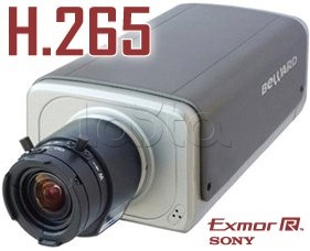 Beward B5650, IP-камера видеонаблюдения в стандартном исполнении Beward B5650