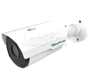 EverFocus EZN-1250, IP-камера видеонаблюдения в стандартном исполнении EverFocus EZN-1250