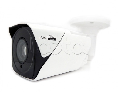 Comonyx CO-RS54P, IP-камера видеонаблюдения в стандартном исполнении Comonyx CO-RS54P