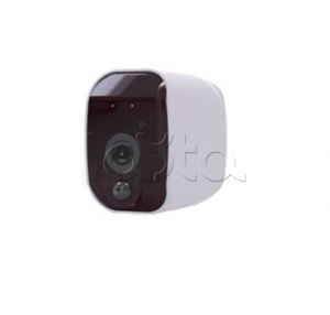 EverFocus ACE-DB04, IP-камера видеонаблюдения в стандартном исполнении EverFocus ACE-DB04
