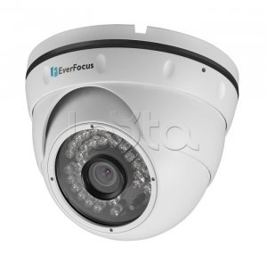 EverFocus ACE-IAV30, IP-камера видеонаблюдения купольная EverFocus ACE-IAV30