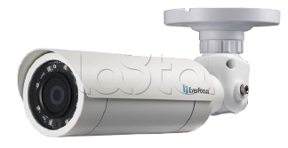 EverFocus EZN-1260 (3.6 мм), IP-камера видеонаблюдения уличная в стандартном исполнении EverFocus EZN-1260 (3.6 мм)