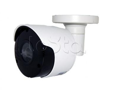 Comonyx CO-RS51P, IP-камера видеонаблюдения в стандартном исполнении Comonyx CO-RS51P
