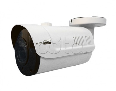 Comonyx CO-RS23P, IP-камера видеонаблюдения в стандартном исполнении Comonyx CO-RS23P
