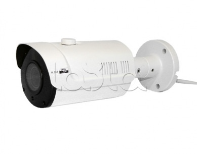 Comonyx CO-RS53P, IP-камера видеонаблюдения в стандартном исполнении Comonyx CO-RS53P