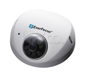 EverFocus EDN-1220 (3.6 мм), IP-камера видеонаблюдения купольная EverFocus EDN-1220 (3.6 мм)