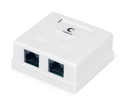 Розетка компьютерная RJ-45, категория 5e, двойная, внешняя, Dual IDC Cabeus WS-8P8C-Cat.5e-2