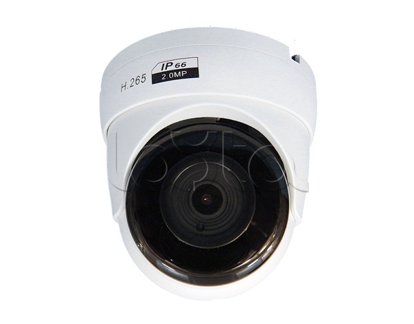 ComOnyX CO-RD21Pv2, IP-камера видеонаблюдения купольная ComOnyX CO-RD21Pv2