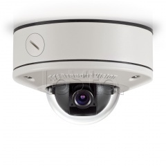 Arecont Vision AV2455DN-S, IP-камера видеонаблюдения уличная купольная Arecont Vision AV2455DN-S