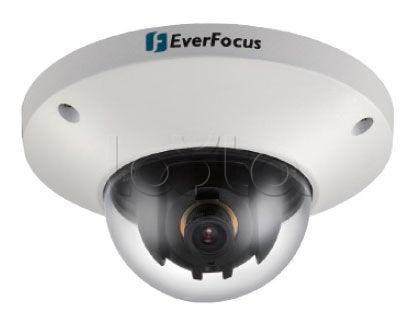 EverFocus EDN-228, IP-камера видеонаблюдения купольная EverFocus EDN-228