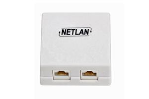 NETLAN EC-UWO-2-UD2-WT-10, Розетка RJ-45, 2 порта, категория 5е, белая (10 шт/уп) NETLAN EC-UWO-2-UD2-WT-10