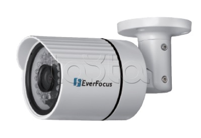 EverFocus EZN-268, IP-камера видеонаблюдения уличная в стандартном исполнении EverFocus EZN-268