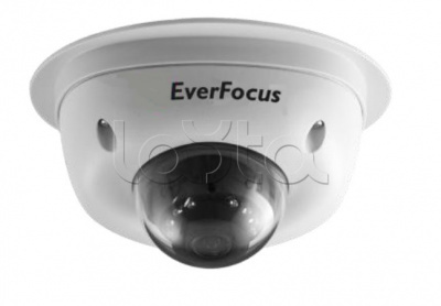 EverFocus EMN-2560, IP-камера видеонаблюдения купольная EverFocus EMN-2560